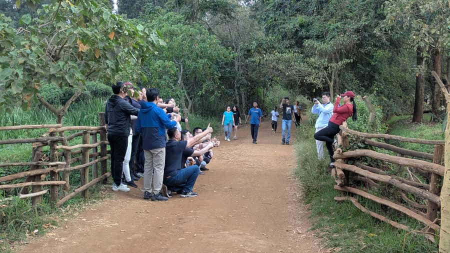 Karura Forest: Walking tour with Nature and Waterfalls. - The final 70 minutes: more trails and scenic views