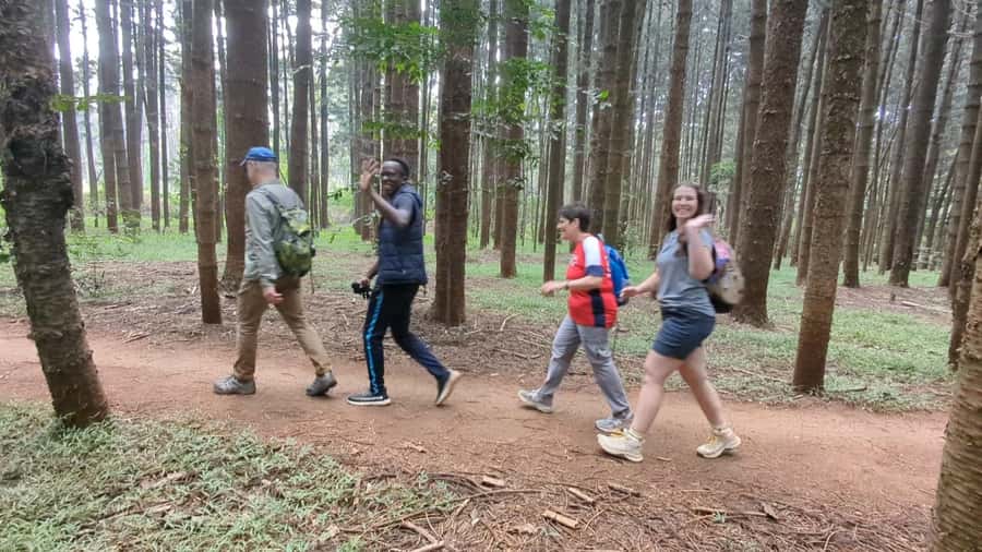 Karura Forest: Walking tour with Nature and Waterfalls. - Meeting at Gate C on Kiambu Road