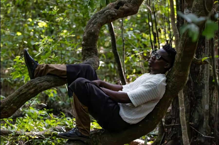 Kaya Kinondo Sacred Forest Guided Tour - Walking beneath centuries-old trees