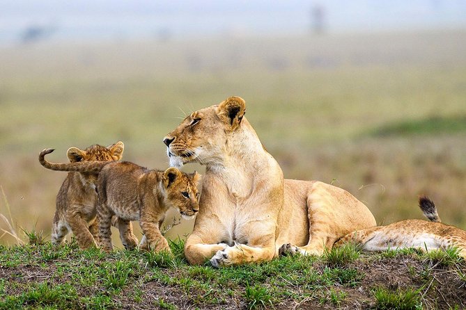 Keekorok Lodge 3 Days, 2 Nights Maasai Mara Offer - Why Keekorok’s central location matters