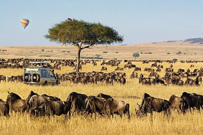 Keekorok Lodge 3 Days, 2 Nights Maasai Mara Offer - The Mara River and the great migration