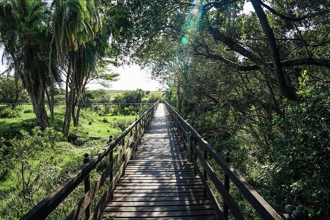 Keekorok Lodge 3 Days, 2 Nights Maasai Mara Offer - Day 3: breakfast, checkout, and return to Nairobi