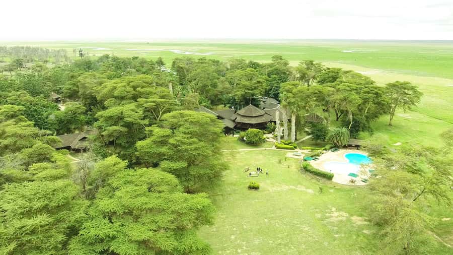 Kenya: 6-Day Camping Safari Group Joining - Day 5: Full day in the Masai Mara and the Mara River
