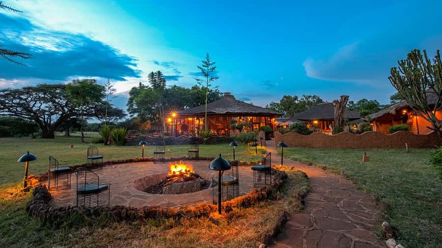 Kenya: 6-Day Camping Safari Group Joining - Day 6: One last early drive, then Nairobi