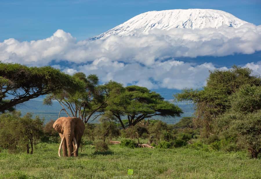 Kenya: 6-Day Camping Safari Group Joining - What the $960 price covers, and what it does not