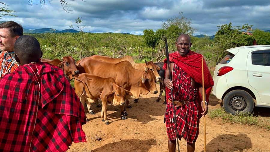 Kenya: Maasai Village Visit with Traditional Dance Show - Inside the Maasai houses