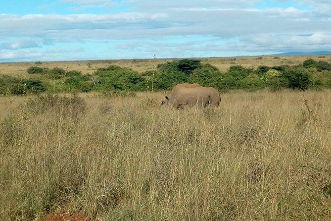 Kenya safari - What $1,350 covers on this Kenya safari