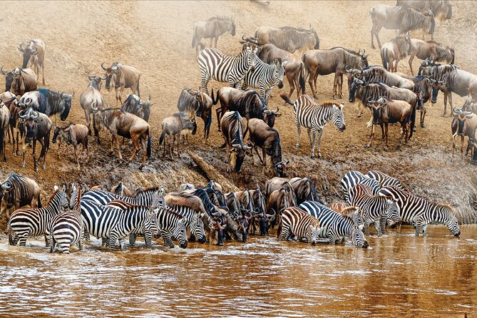 Kenya safari - Day 3: Lake Naivasha and Hell’s Gate