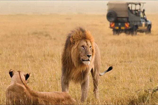 Kenya safari - Day 4: The long road to Maasai Mara