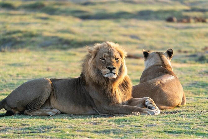 Kenya safari - Day 5: A full-day Maasai Mara game drive