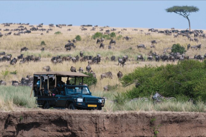 Kenya safari - Day 7: Returning to Nairobi and the airport