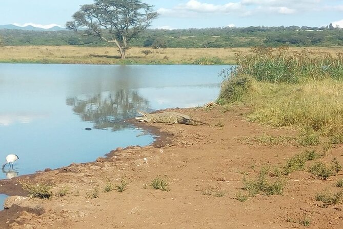 Kenya safari - Day 1: Getting settled in Nairobi