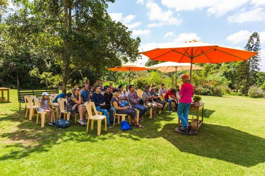 Kiambethu Tea Farm Tour (All Inclusive) - Key points to know before you go