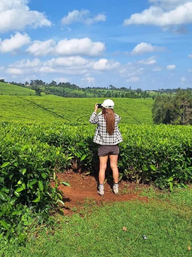 Kiambethu Tea Farm Tour (All Inclusive) - Arriving at a historic tea estate