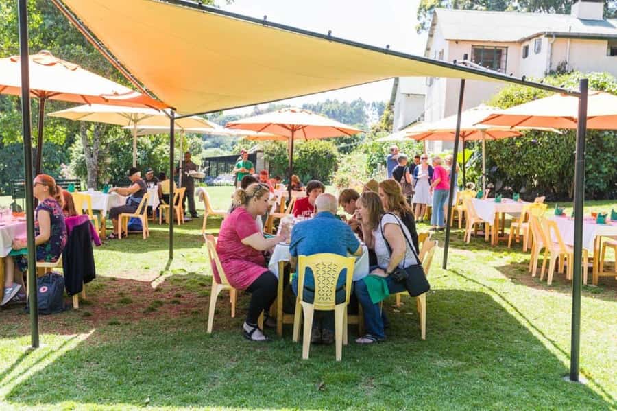 Kiambethu Tea Farm Tour (All Inclusive) - Tea tasting, lunch, and afternoon tea