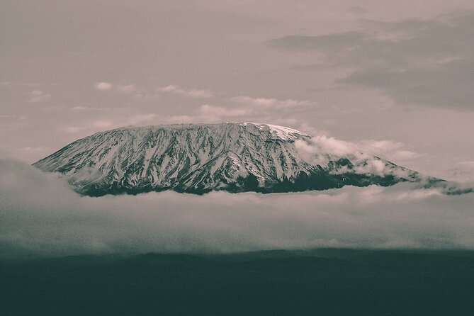 Kilimanjaro Wanderlust Day Hike - Five things to know before walking toward Kilimanjaro