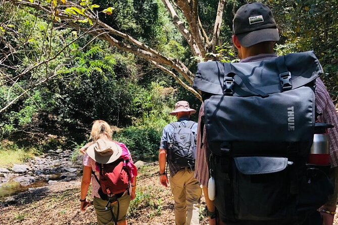 Kilimanjaro Wanderlust Day Hike - Why this is a different side of Kilimanjaro