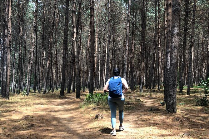 Kilimanjaro Wanderlust Day Hike - Stop 1: Mount Kilimanjaro and the forest foothills