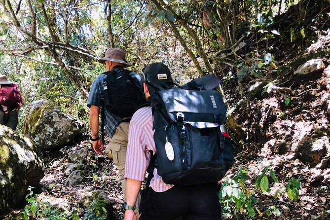 Kilimanjaro Wanderlust Day Hike - Birds, trees, and stories along the way