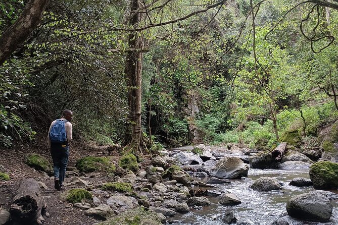 Kilimanjaro Wanderlust Day Hike - Who will enjoy this walk most