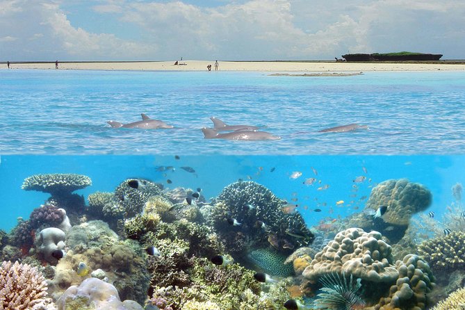 Kisite Marine Park Private Boat Snorkeling with breakfast & Lunch - Key things to know before booking