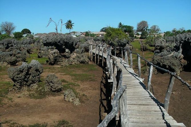 Kisite Marine Park Private Boat Snorkeling with breakfast & Lunch - Why this is a full-day trip from Malindi