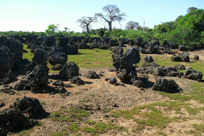 Kisite Marine Park Private Boat Snorkeling with breakfast & Lunch - Lunch and Swahili food on Wasini Island