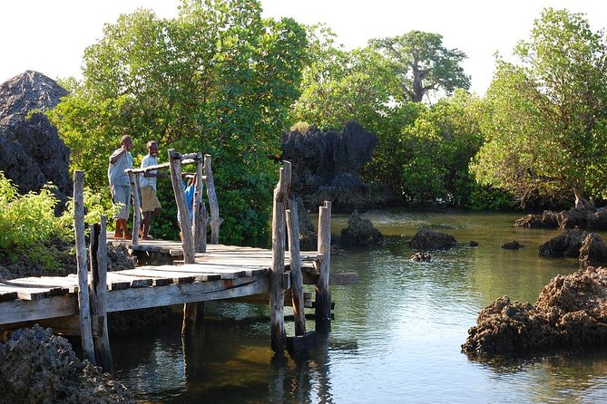 Kisite Marine Park Private Boat Snorkeling with breakfast & Lunch - The Shimoni Slave Caves on the return