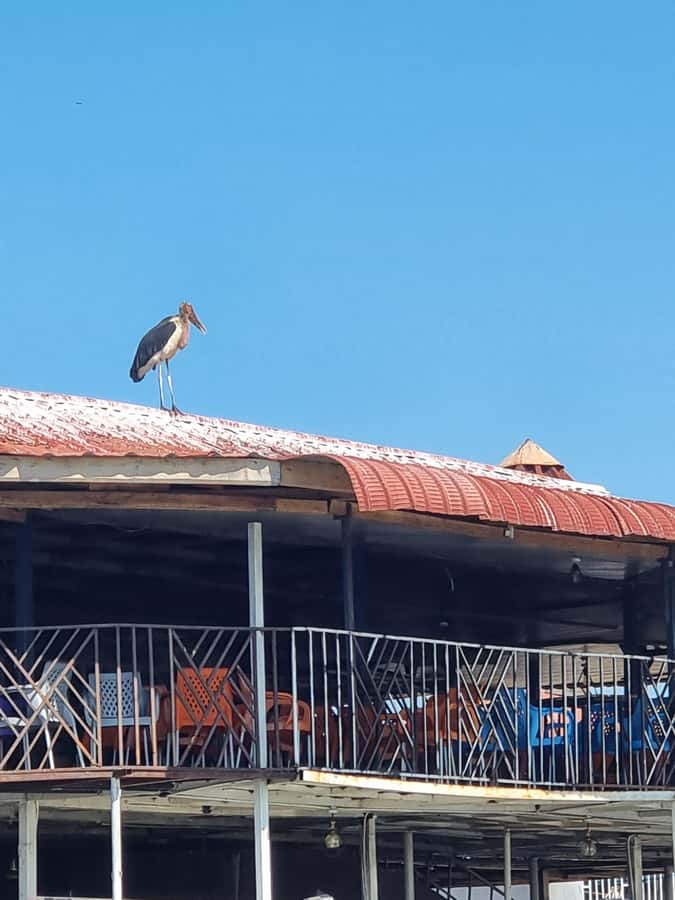 Kisumu: Dunga Fishing Village Walking Tour with a Local - Is $28 a fair price?