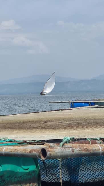 Kisumu Lake Victoria Boat Ride and Hippo Hunt - Who will enjoy this Kisumu experience most