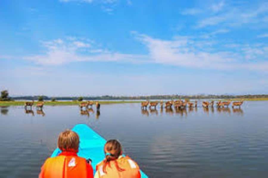 Lake Naivasha Adventure: Crescent Island with Boat Safari - Crescent Island, where the walk is the main event