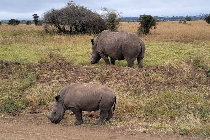 Lake Naivasha And Lake Nakuru Overnight Tour - A Boat Ride Among Hippos At Lake Naivasha