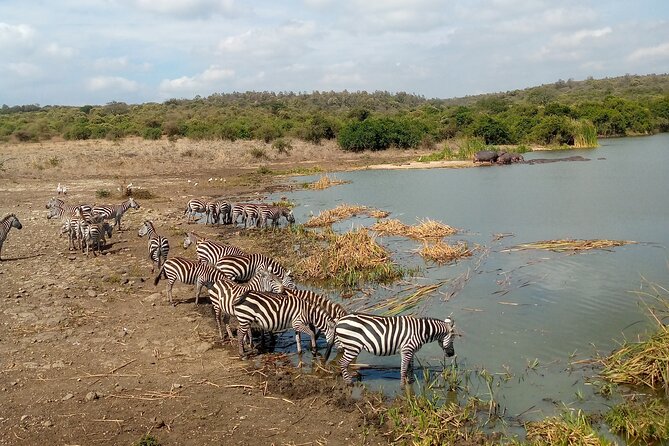 Lake Naivasha And Lake Nakuru Overnight Tour - Reaching Lake Nakuru After A Full First Day
