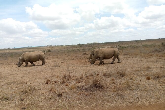 Lake Naivasha And Lake Nakuru Overnight Tour - Lake Nakuru: Rhinos, Lions, And Birdlife