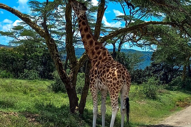 Lake Naivasha And Lake Nakuru Overnight Tour - What The Driver-Guide Adds