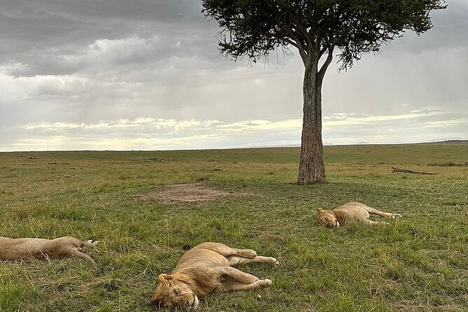 Lake Naivasha And Lake Nakuru Overnight Tour - What The $315 Price Really Covers
