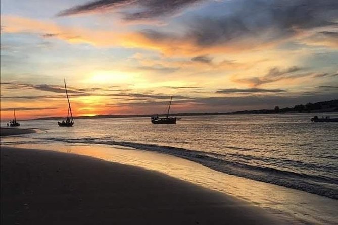 Lake Naivasha & Crescent island day trip. - Who should book this Naivasha day trip?