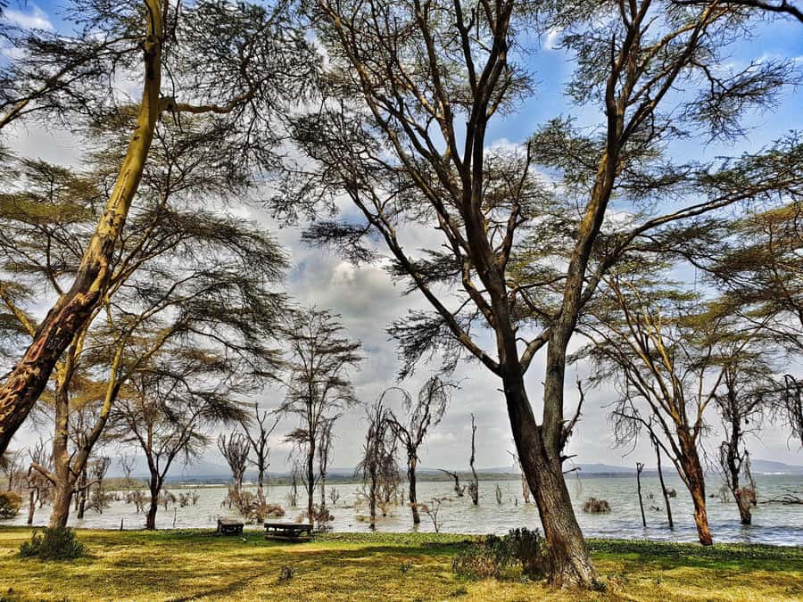 Lake Naivasha: Crescent Island Game Sanctuary - Lunch at your own expense
