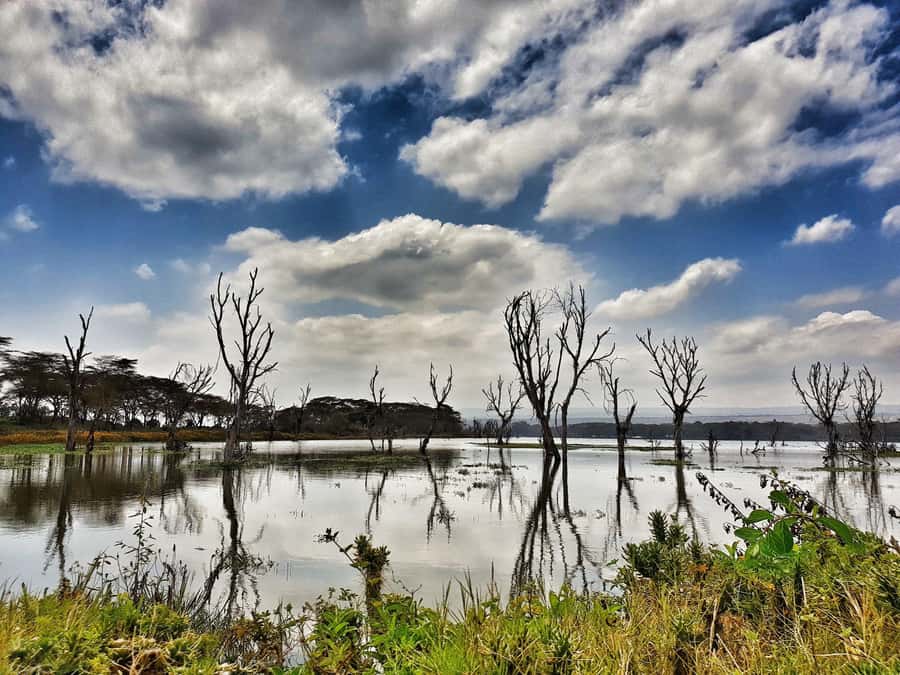 Lake Naivasha: Crescent Island Game Sanctuary - Who will enjoy this day trip most?