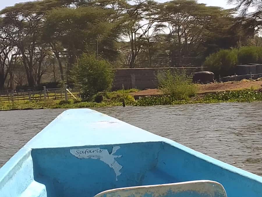 Lake Naivasha day tour including crescent island - Should you book the Lake Naivasha and Crescent Island tour?