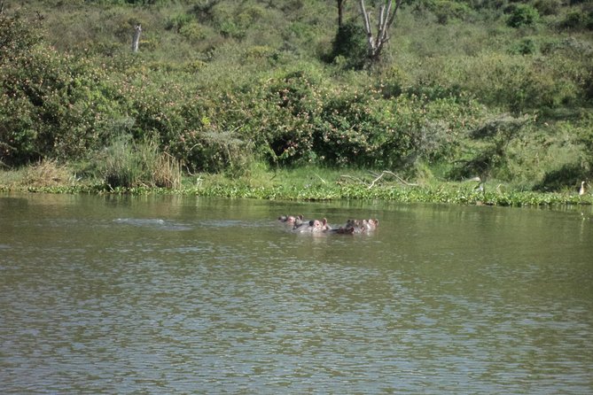 Lake Naivasha day tour including the crescent island - Leaving Nairobi for the Great Rift Valley