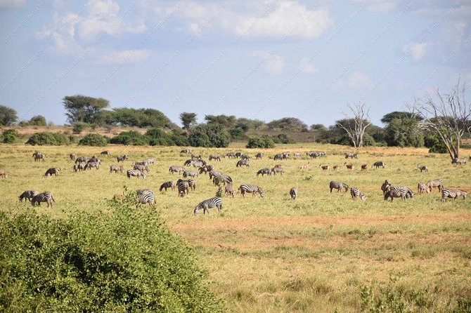 Lake Naivasha day tour including the crescent island - The guides can shape the whole experience