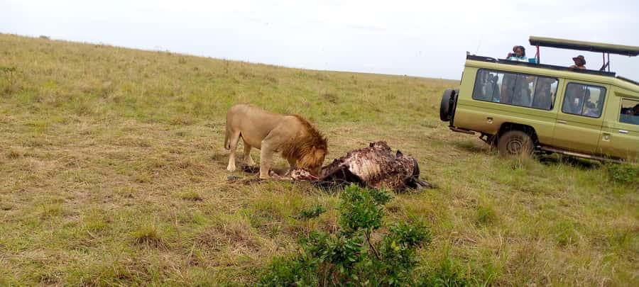 Lake Nakuru 2 Days 1 Night Safari. - Key points to know before booking