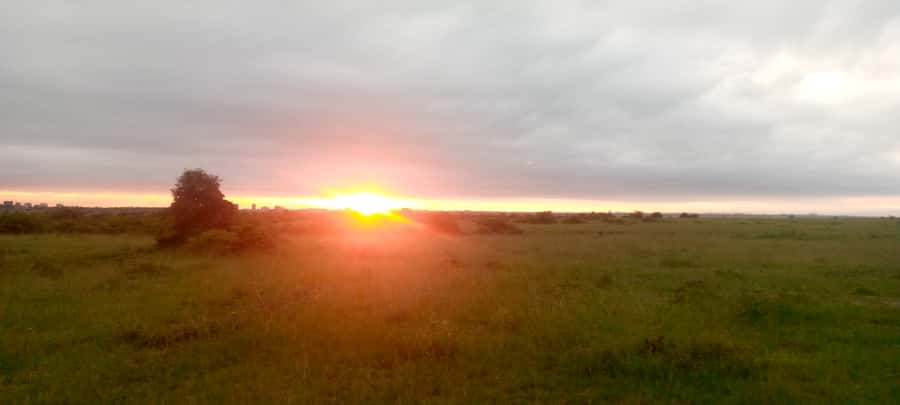 Lake Nakuru 2 Days 1 Night Safari. - Birds, flamingos, and the changing lake shore