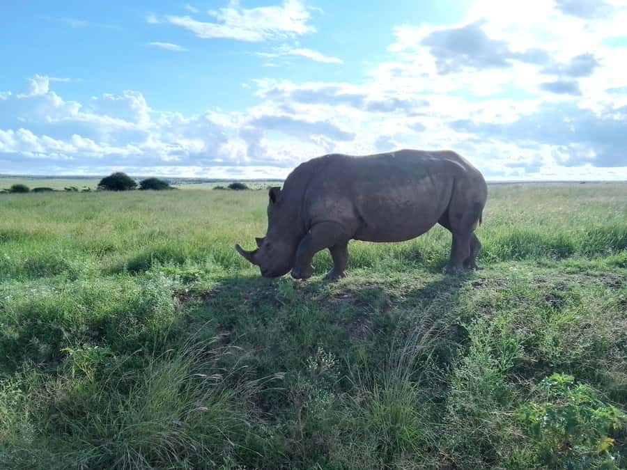 Lake Nakuru 2 Days 1 Night Safari. - Overnight at Buraha Zenoni Hotel and Resort