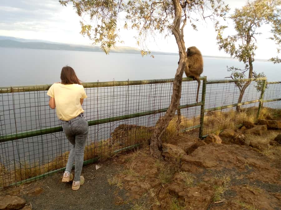 Lake Nakuru 2 Days 1 Night Safari. - The pace, vehicle, and private group setup