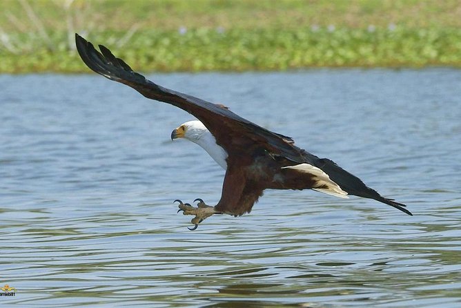 Lake Nakuru Day Tour From Nairobi - What the $120 price really covers