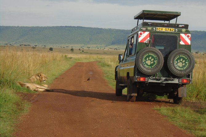 Lake Nakuru, Naivasha & Masai Mara 4 Days Private Jeep Safari - Lake Nakuru and the search for rhinos