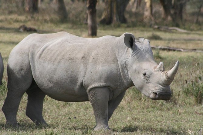 Lake Nakuru National Park & Boat Ride at Lake Naivasha Day Tour From Nairobi - Leaving Nairobi at 6:00am
