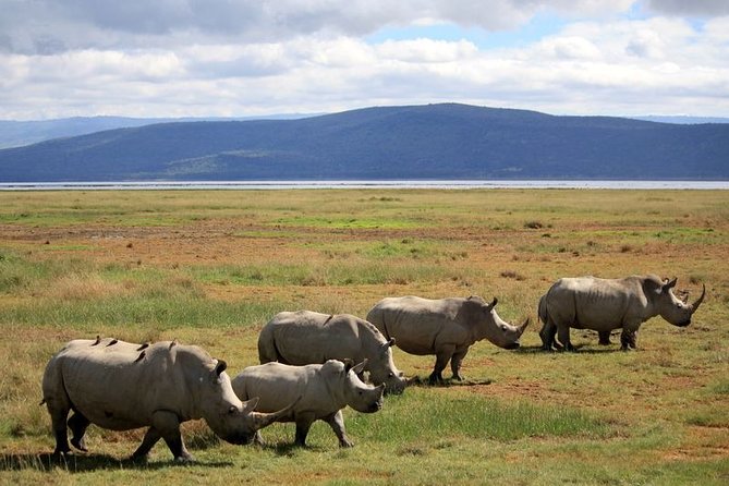 Lake Nakuru National Park & Boat Ride at Lake Naivasha Day Tour From Nairobi - Leaving Nakuru for Lake Naivasha